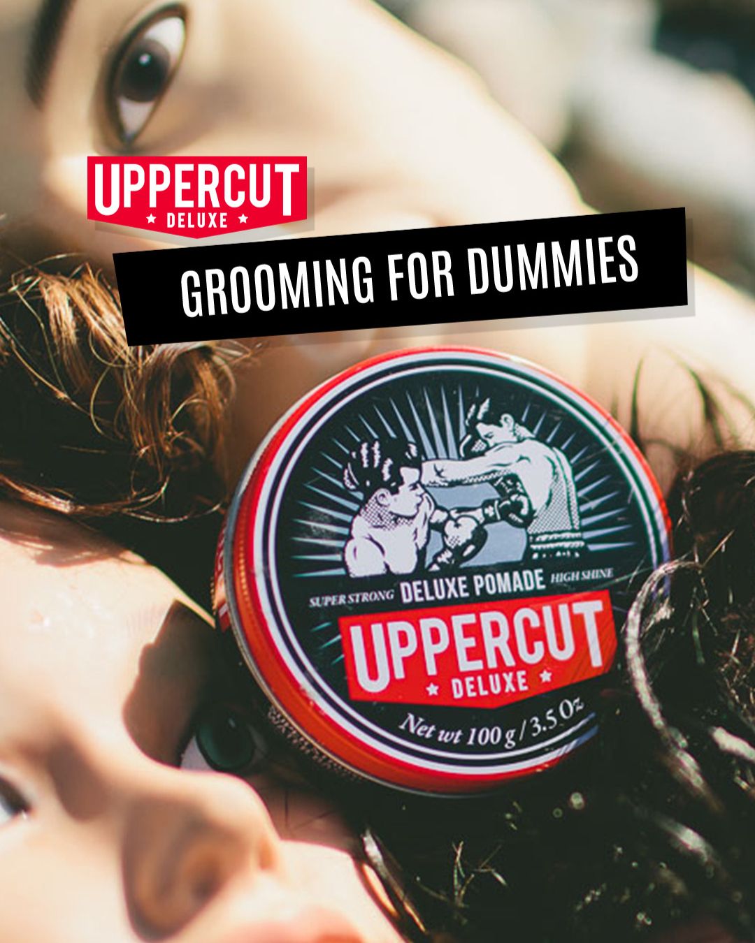 grooming for dummies image
