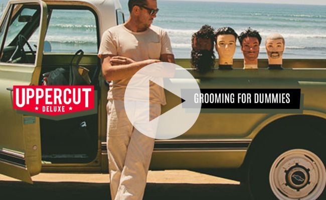 Grooming for dummies video