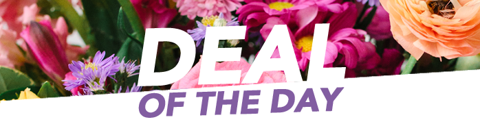 Save 15% Sitewide