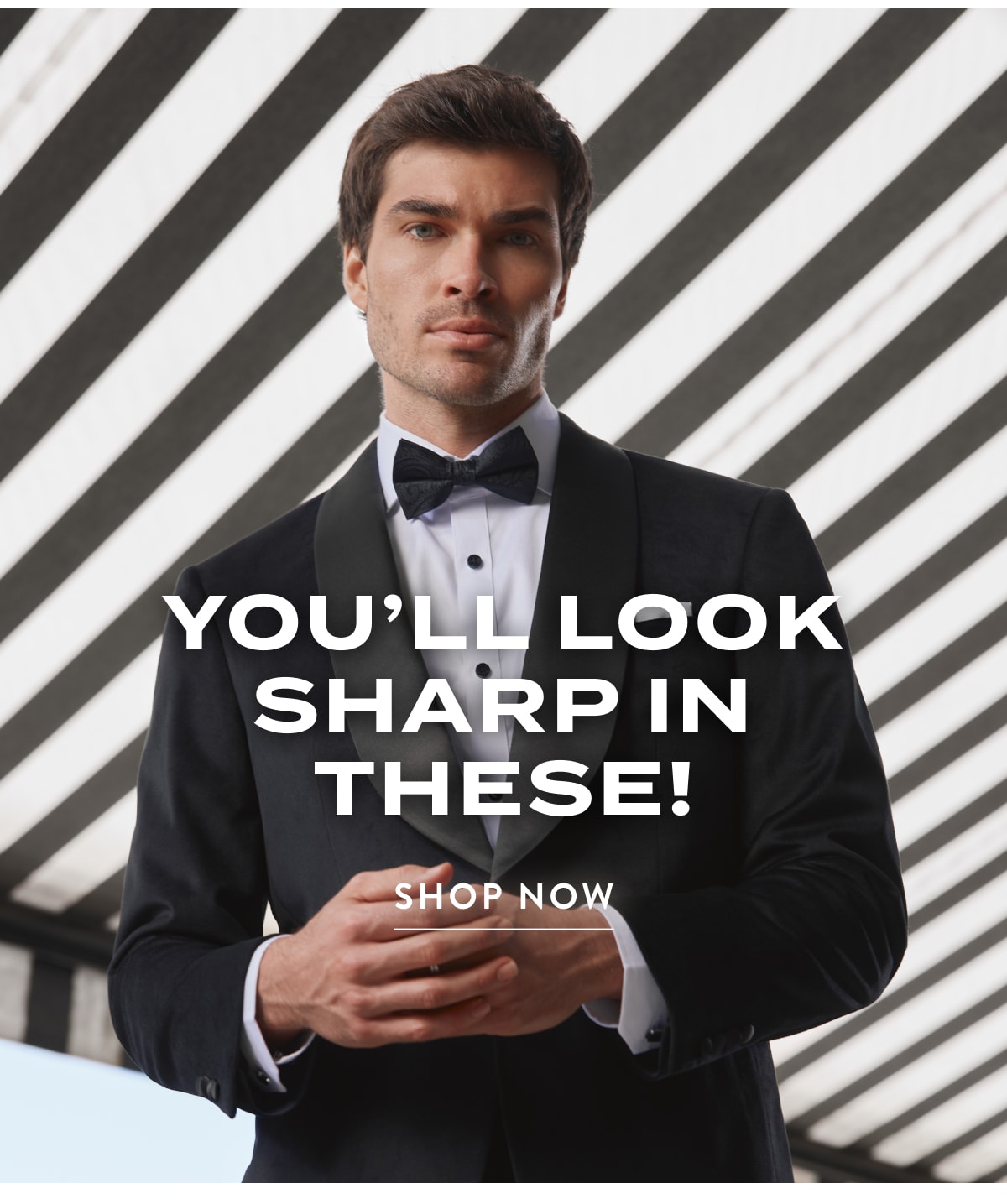 SHOP NOW