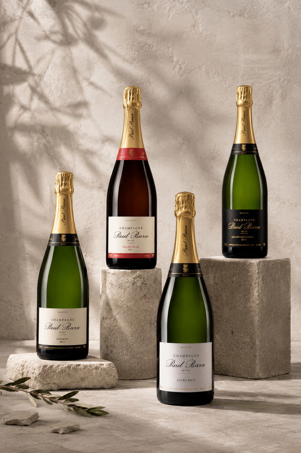 Four Paul Bara champagne bottles arranged on concrete pedestals with a textured backdrop, soft shadows and an olive sprig