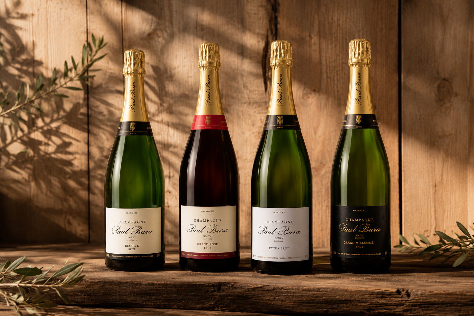 Four bottles of Paul Bara champagne on a rustic wooden table, labels visible, bathed in warm sunlight with olive branches