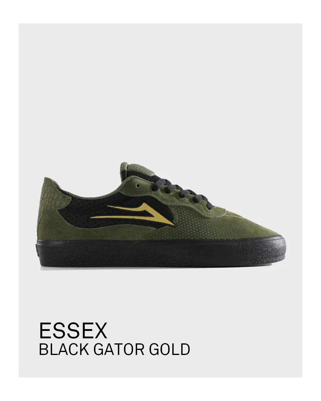 ESSEX - BLACK GATOR GOLD