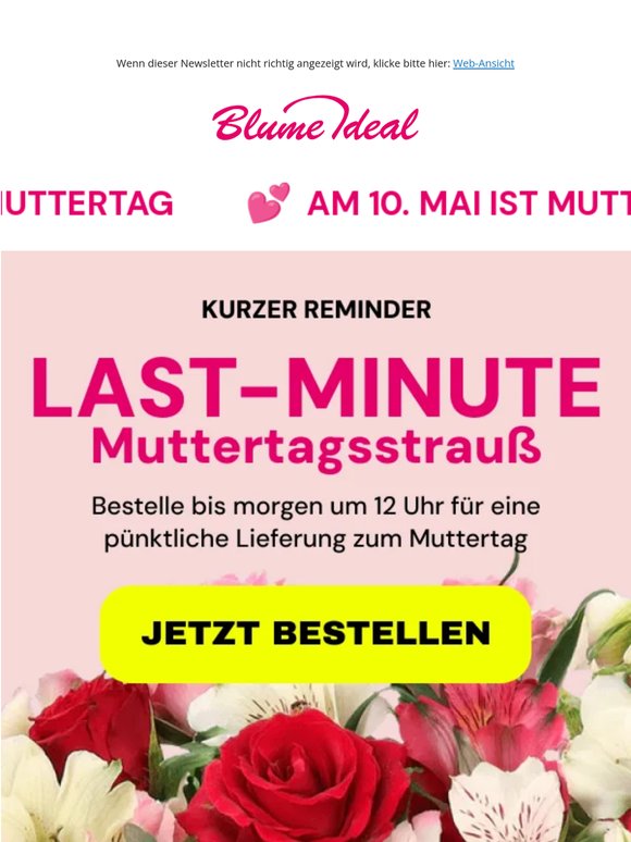 LAST MINUTE