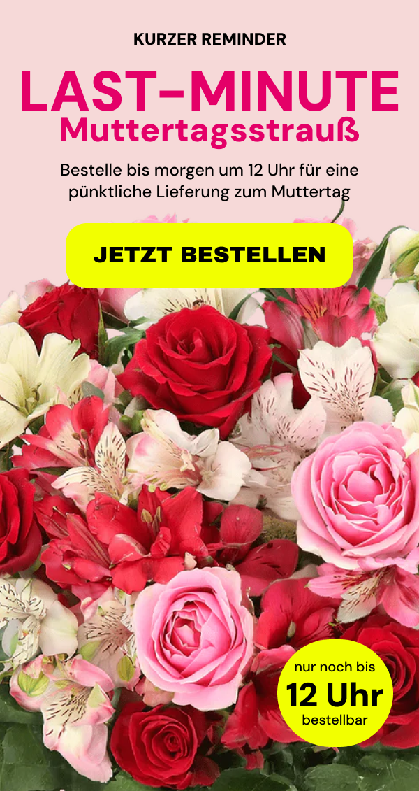 Rosenwunder