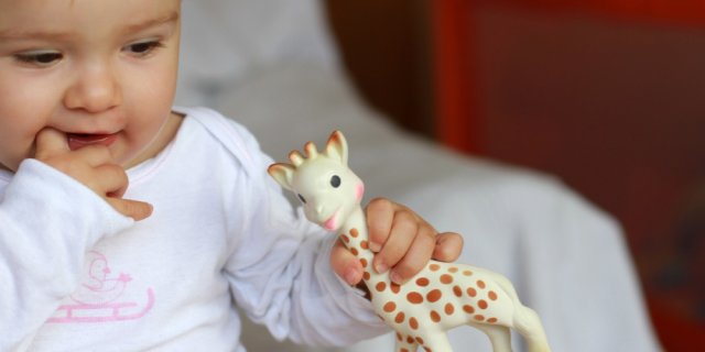 rappel jouet Sophie la girafe