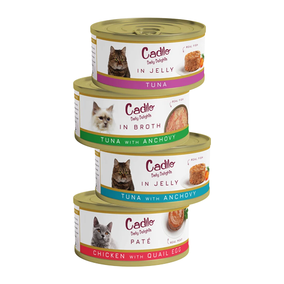 packshot