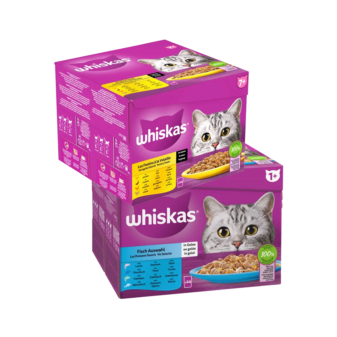 packshot