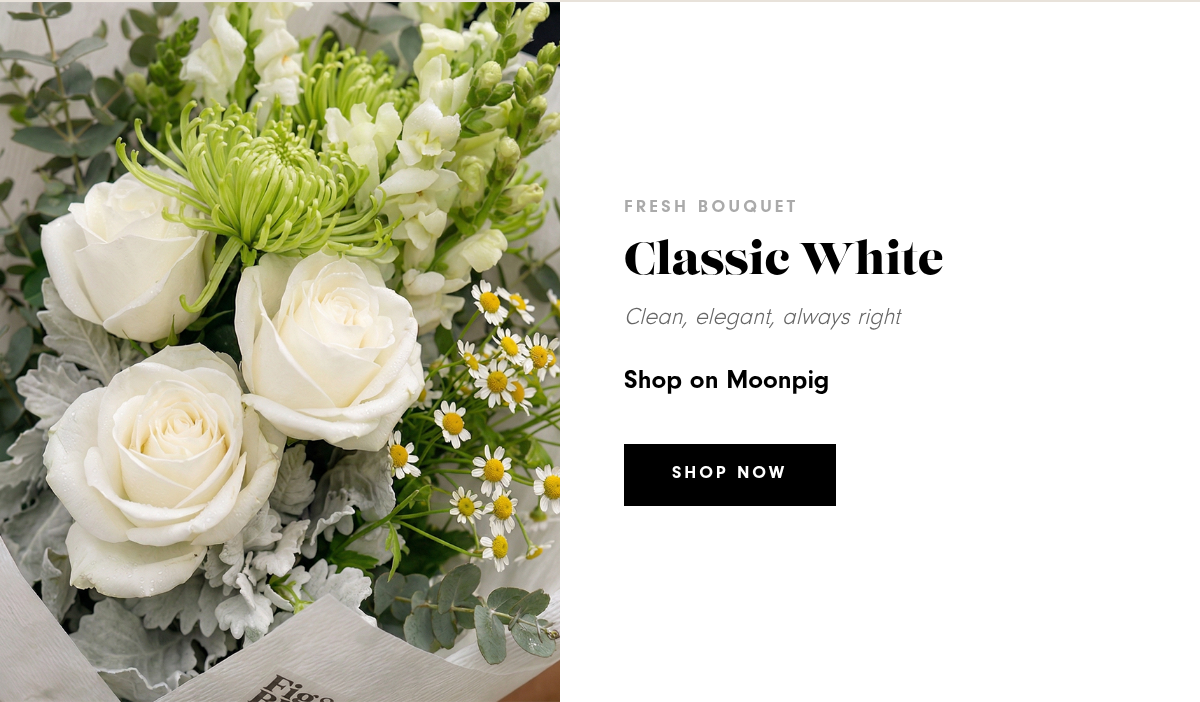 Classic White — Clean, elegant, always right