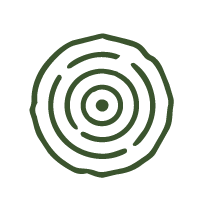 tree rings Icon