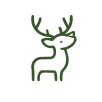 wildlife Icon