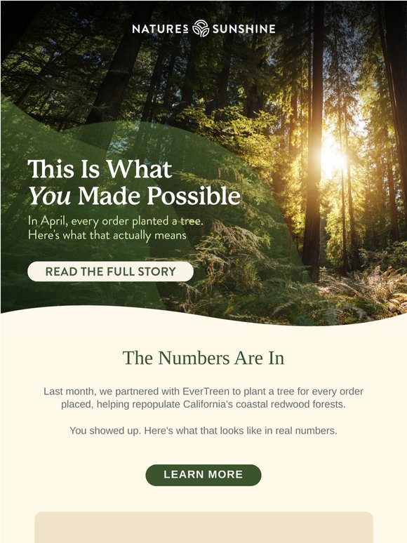 19,062 Trees Planted. You Made This Possible 🌳