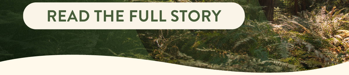 READ THE FULL STORY