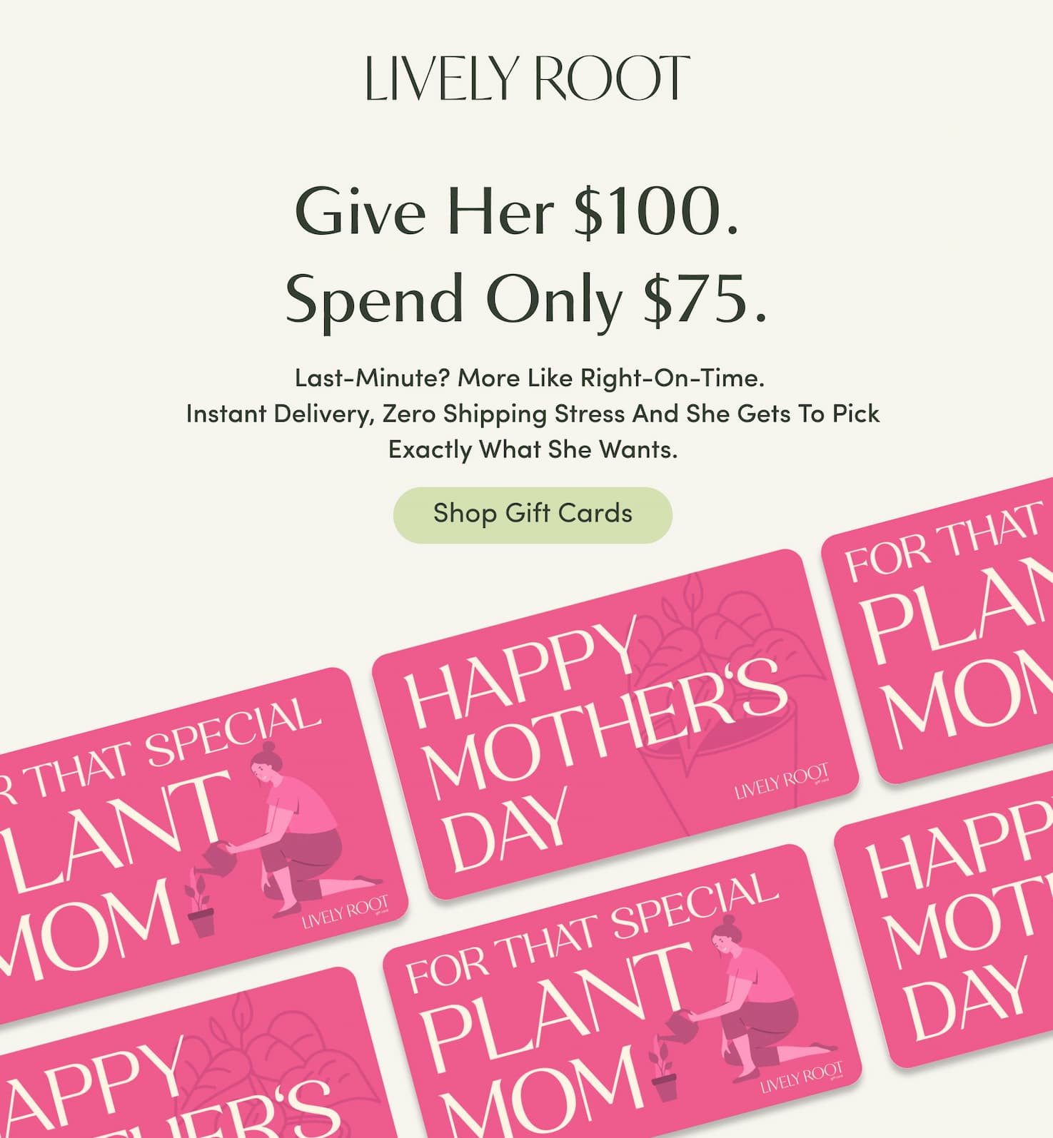 Shop now