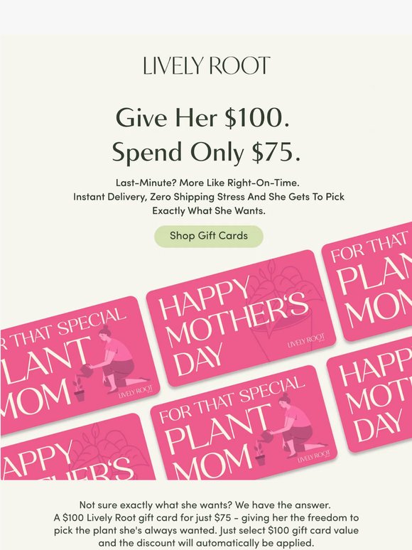 🌸 She Deserves $100 Worth of Plants - You Only Spend $75