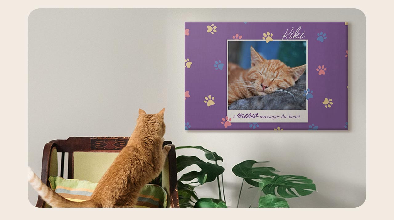 A Personalised Pet Photo Canvas