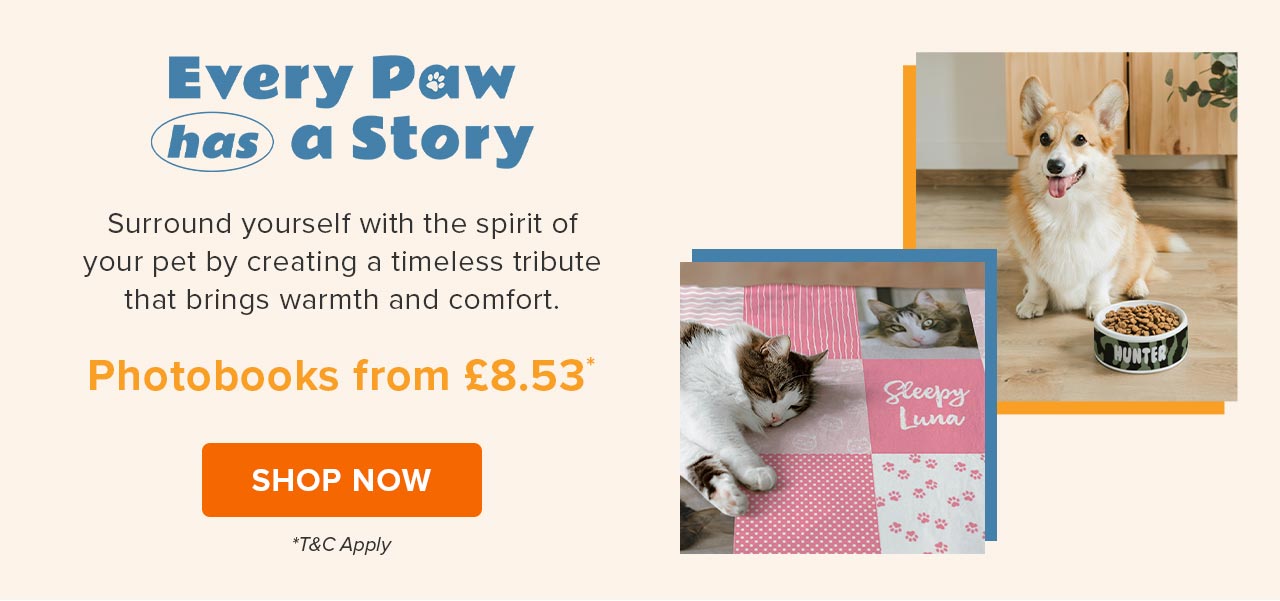 Custom Pet Photobook from £8.53* | Shop Now
