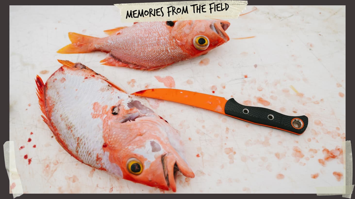 cleaning fish
