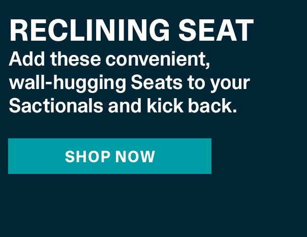 Reclining Seat | SHOP NOW >>