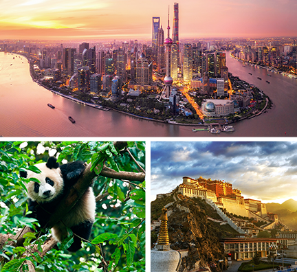 Bild-Collage: Blick auf moderne Wolkenkratzer in Shanghai, Panda hängt in einem Baum sowie Tempel auf einem Berg in Lhasa.