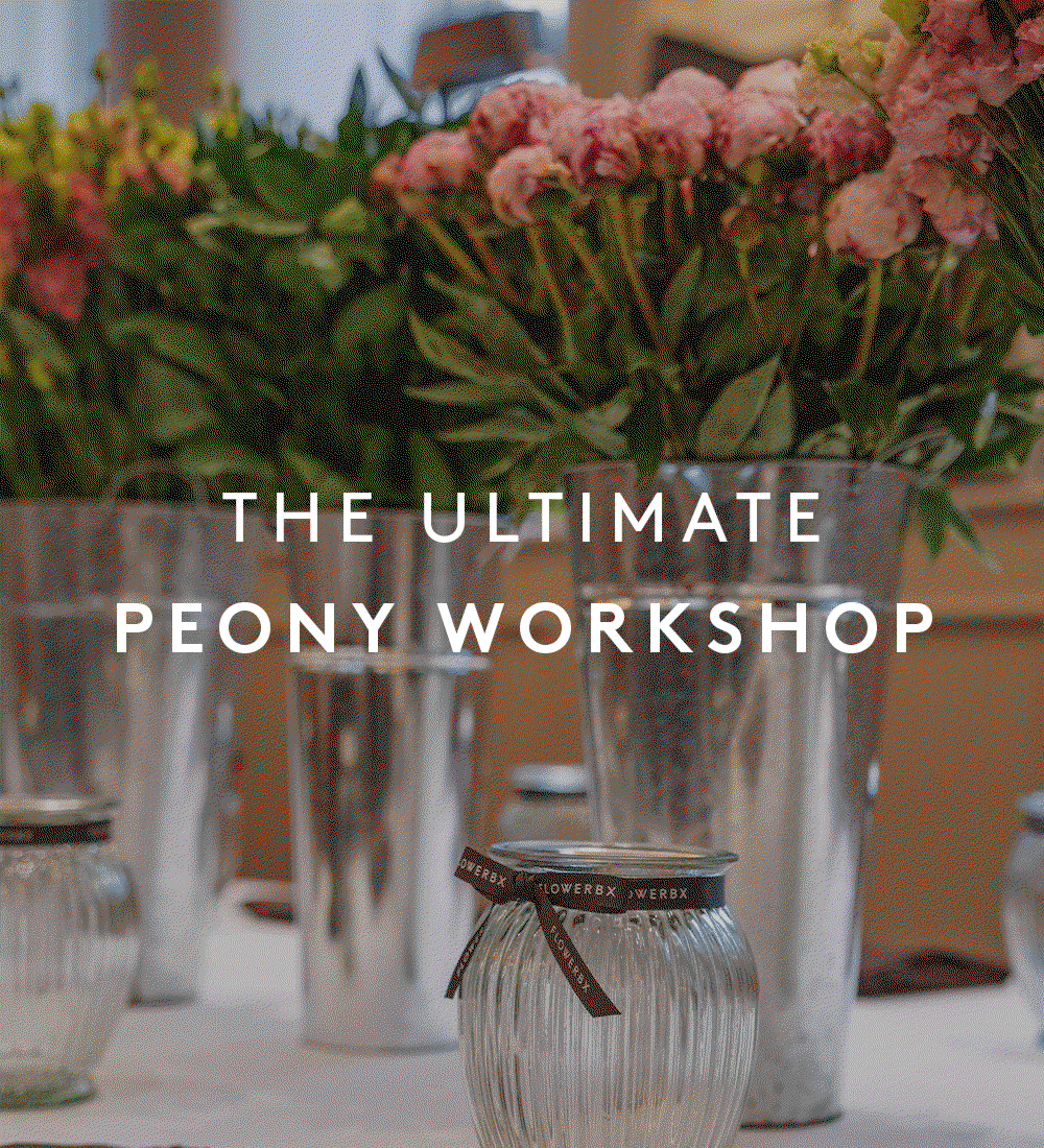 Peony Workshop