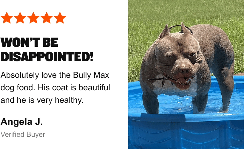 Bully Max Beef Dog Food