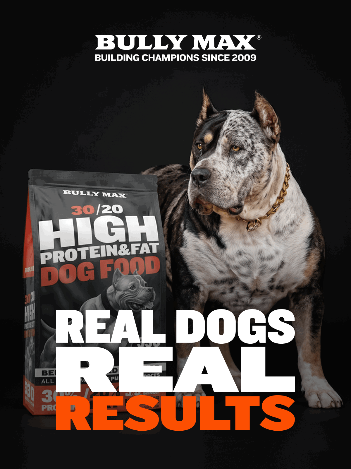 Real Dogs Real Results