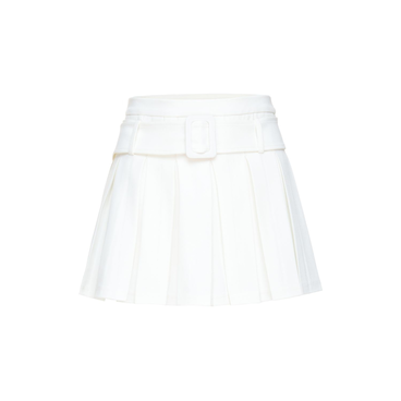 Pleated Skirt