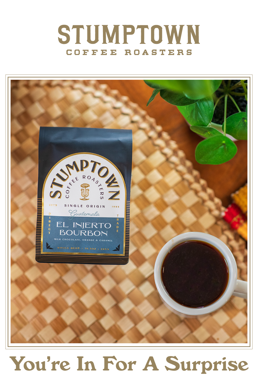 Stumptown Coffee Roasters El Injerto Bourbon whole bean bag from Guatemala sits on a woven tray beside a white cup of black coffee, with a green plant in the background. Headline below reads, “You’re In For A Surprise.”