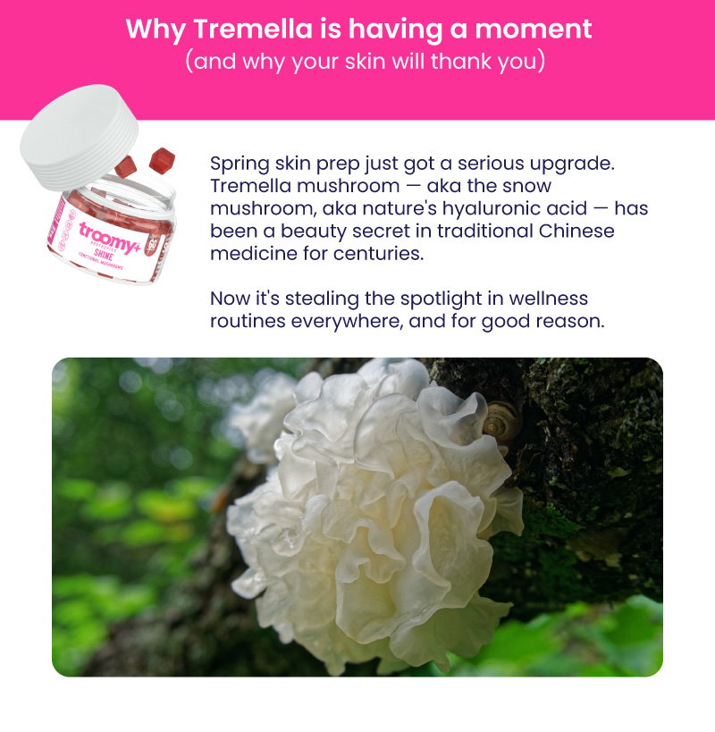 Tremella - blog - beauty - functional mushroom - biotin - collagen - hair, skin, nail health - skincare - Shine - Troomy Nootropics in Whittier, CA