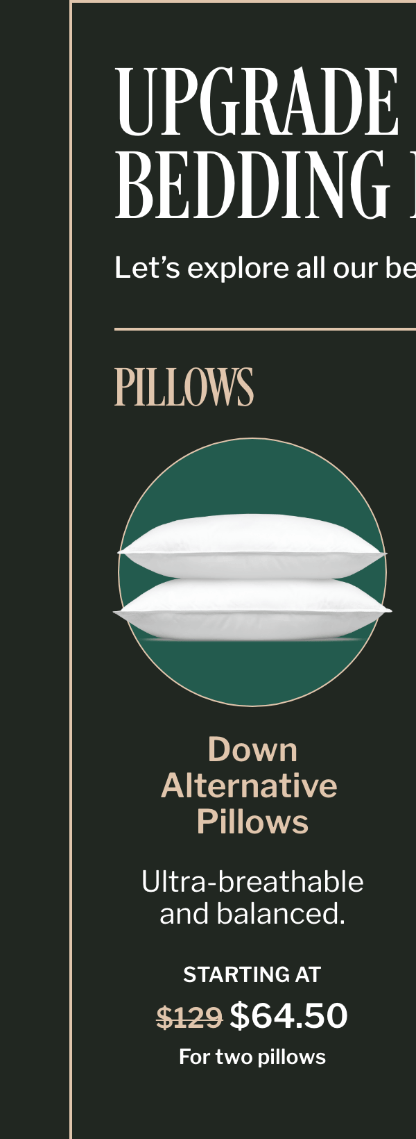 Down Alternative Pillows