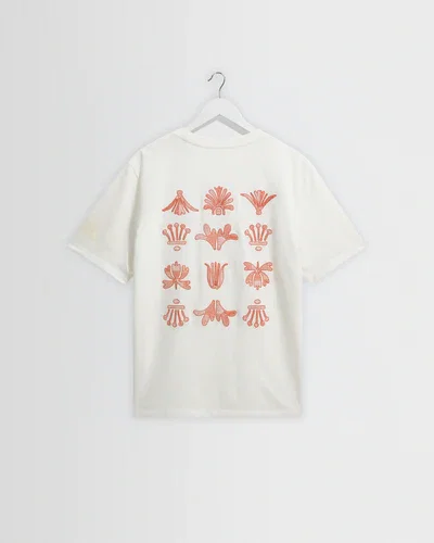 Dean - Ecru And Rust Grid Embroidered T-Shirt