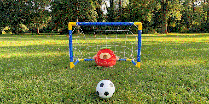 Football goal with ball