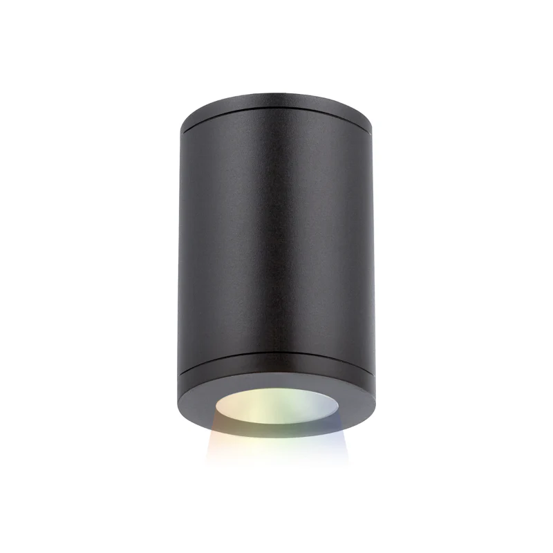 WAC Architectural LED Cylinder Downlight