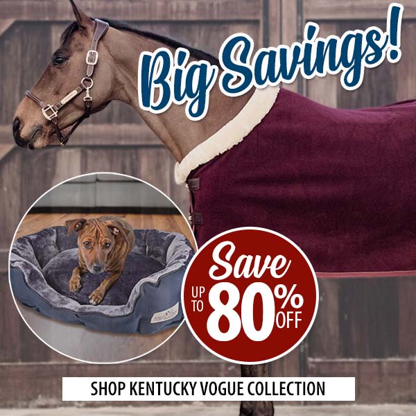 Big Savings on Kentucky Vogue—Up to 80% Off!