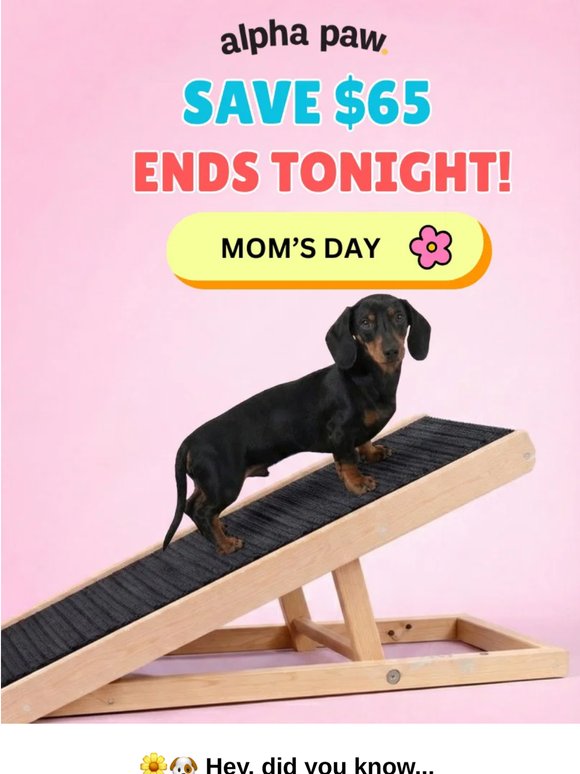 🐶 Last chance to save on Pawramp! $65 off ends tonight
