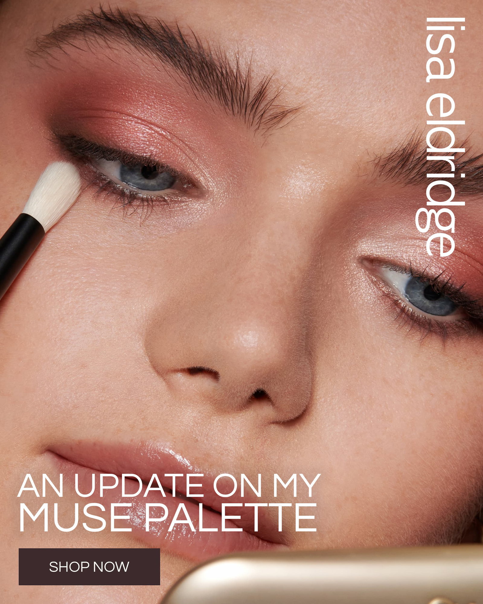 An updated on my Muse Palette