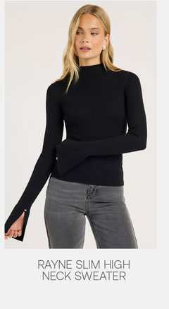 Rayne Slim High Neck Sweater