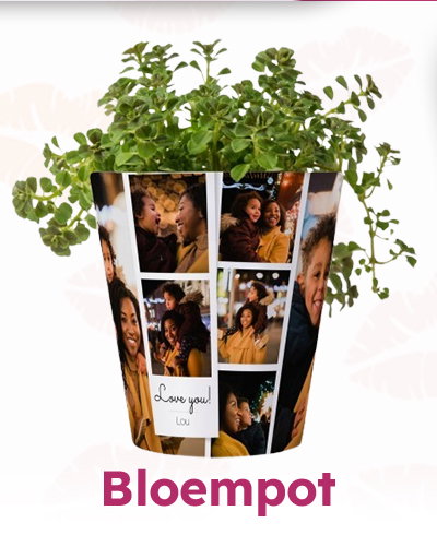 Bloempot
