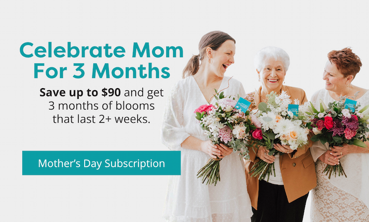 Three moms with a Callia Mother's Day arrangement