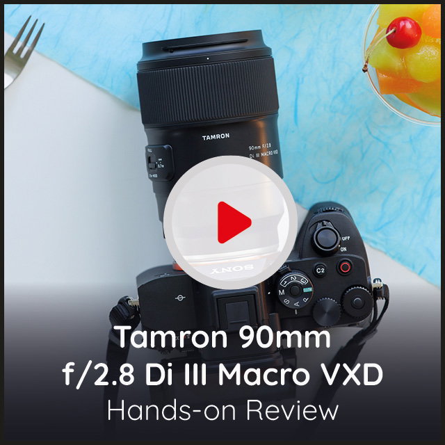 Tamron 90mm Video