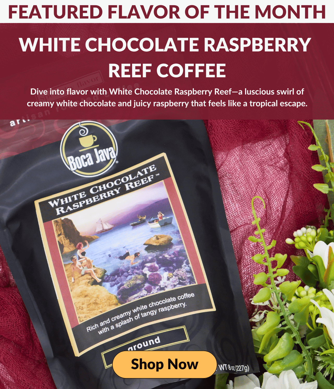 White Chocolate Raspberry Reef
