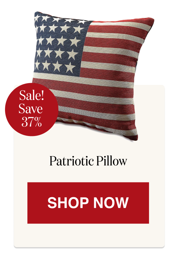 Patriotic Pillow [Click here to Shop Now]