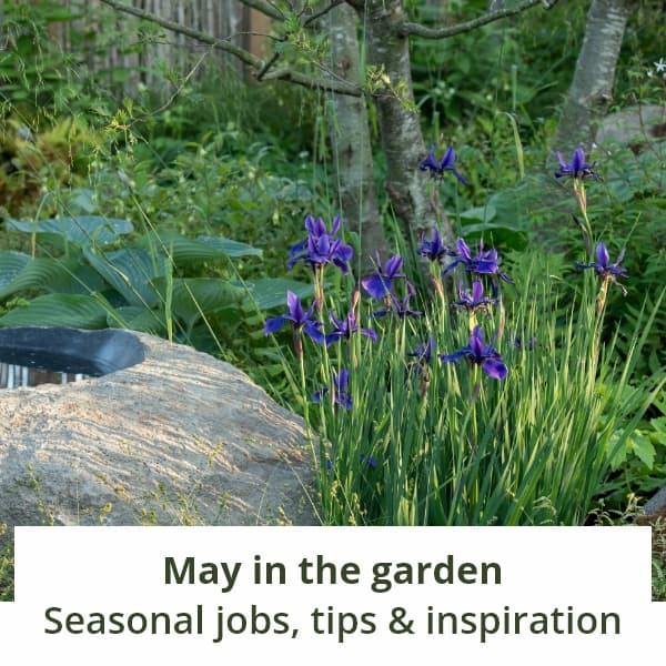 March in the garden