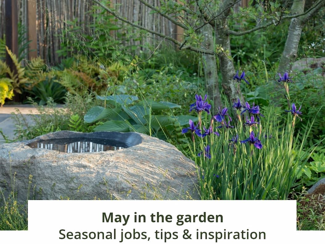 March in the garden