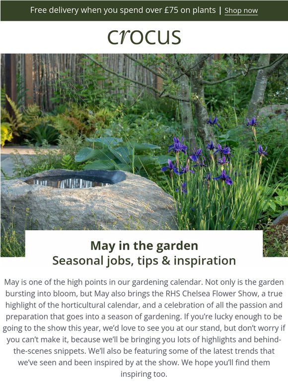 May in the garden: jobs, tips, inspiration ✨