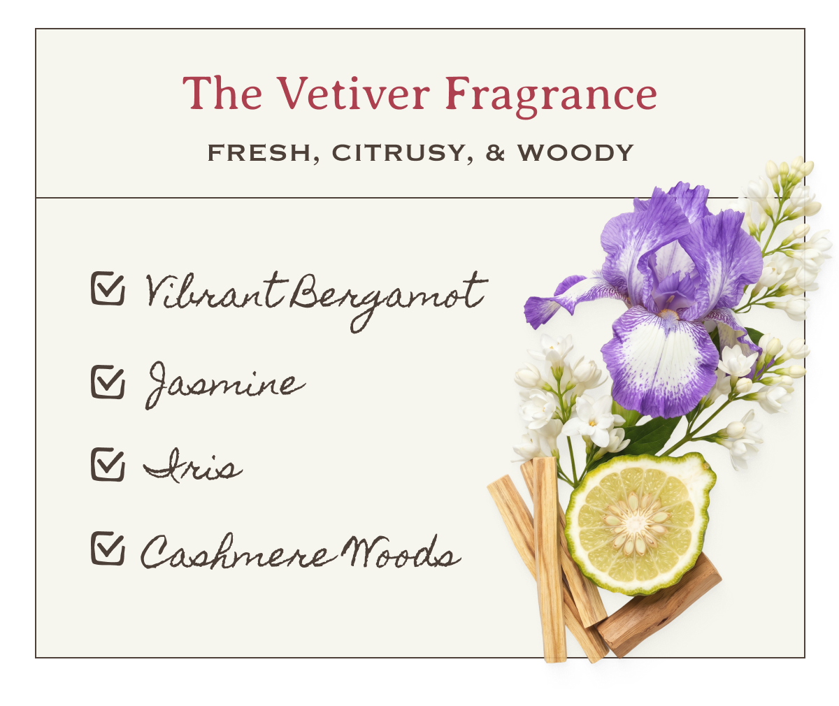 The Vetiver Fragrance | Fresh, Citrusy, & Woody | -Vibrant Bergamot -Jasmine -Iris -Cashmere Woods 