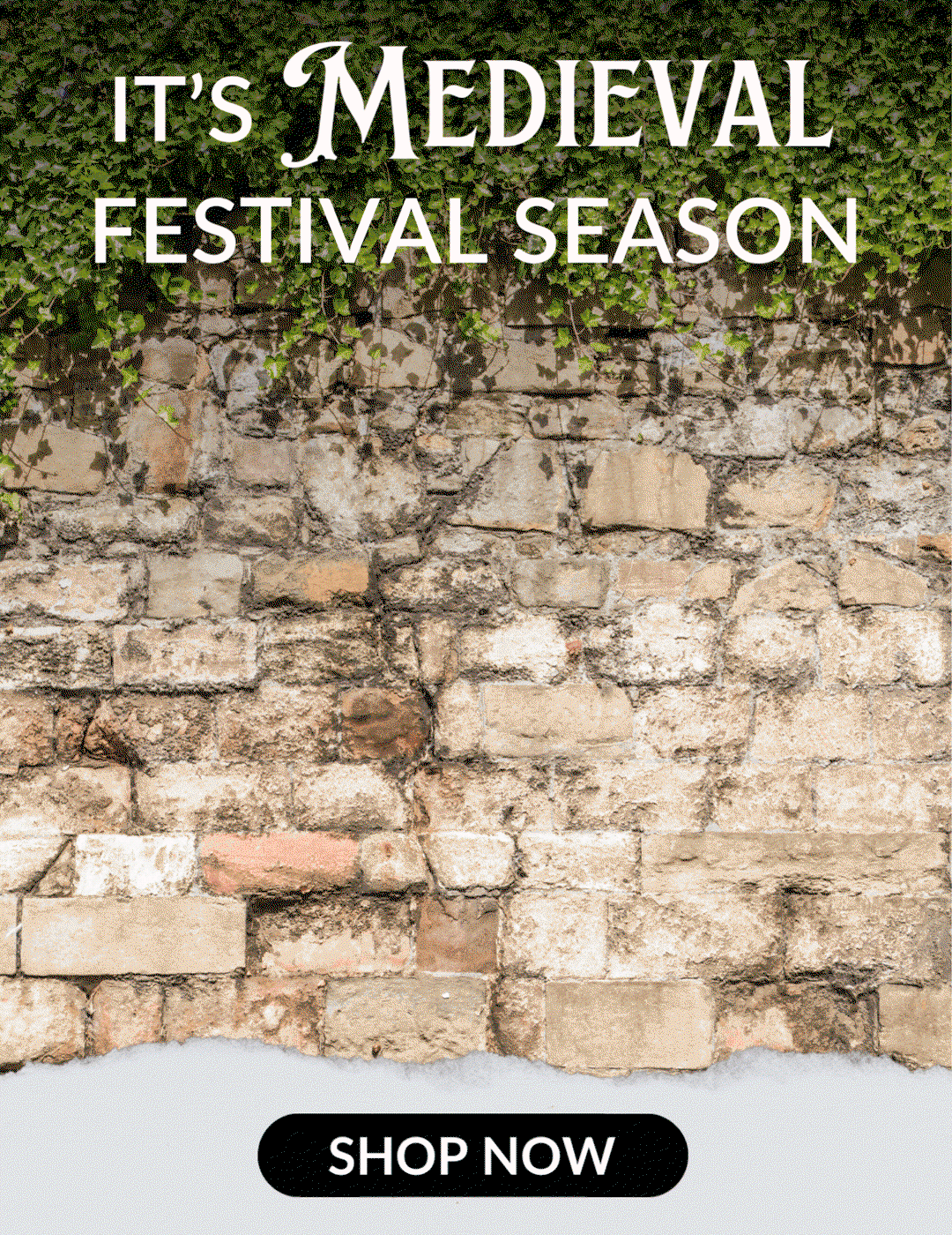 Medieval Festivals Costumes & Accessories