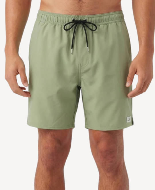 Solid 2.0 17" Swim Trunk