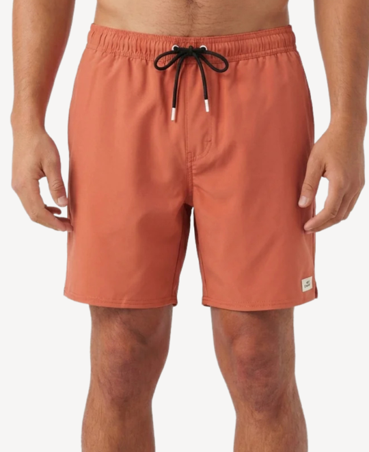 Solid 2.0 17" Swim Trunk